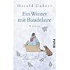Ein Winter mit Baudelaire: Roman