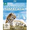 Expedition Himalaja - Auf der F�hrte der Tiger im K�nigreich Bhutan [Blu-ray]