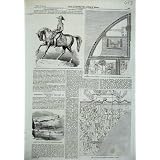 1856 Sacrament Matrimony Doncaster Cup Horse Giotto