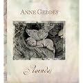 Agenda Perpetuel Anne Geddes (Grd Format
