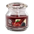 Yankee Candle&reg; Home Classics Jar Candle - Apple Berry Spice (7 oz)