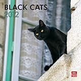 black cats 2012 square 12x12 wall calendar
