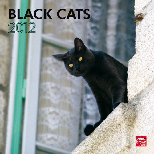 Black Cats 2012 Square Wall Calendar