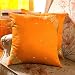 Set of 2 Sari Fabric Mustard Decorative Pillow Covers (India)