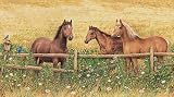 HORSES AT THE FENCE MURAL