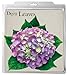 EuroQuest Imports Hydrangeas Deco Parchment Leaves, Pack of 20