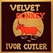 Velvet Donkey