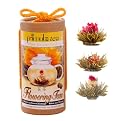Primula Flowering White Tea with Peach 12-pk..