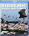 Birdemic: Shock and Terror [Blu-ray]