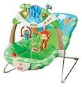 FisherPrice Rainforest