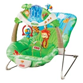 Fisher-Price Rainforest Bouncer