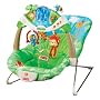 Fisher-Price Rainforest Bouncer