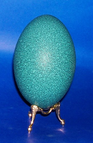 Speckled Emu Egg