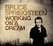 Working On A Dream