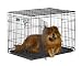 Midwest iCrate Double-Door Folding Metal Dog Crate, 36 Inches by 23 Inches by 25 Inches