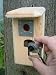 Hawk Eye Color Night Vision & Sound Camera for Nest Box or Bird Room