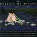 Bouquet of Dreams Volume 2 [RARE]