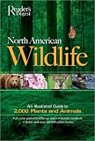 North American Wildlife