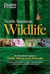 North American Wildlife