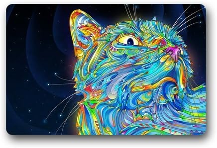 Shock shocking Custom Machine-washable Door Mat Colourful Grumpy Cat Indoor/Outdoor Doormat ;(W) 15.7-inch By 23.6-inch