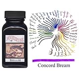Noodlers Fountain Pen Ink -- Concord Bream (purple)