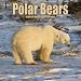 POLAR BEARS 2011 Wall Calendar