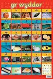 Welsh Alphabet (Yr Wyddor) - Educational Poster Chart (60x40cm)
