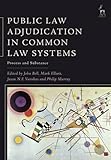 Public law adjudication in common law systems : process and substance