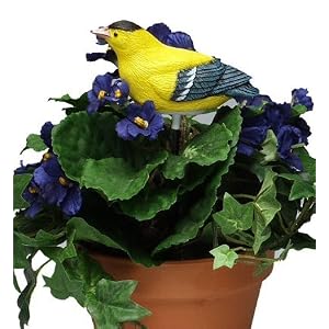Singing Goldfinch - Plant Pal Soil Moisture Meter (Finch Sings When Plant Is Thirsty!)