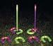 Sporting Goods : Shooting U's Horseshoes Game
