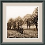IMAGE OF Fence Row and Trees Framed Art Print by Harold Silverman, 17.21 in. x 17.21 in. Framed