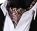 SetSense Men's Floral Jacquard Woven Self Cravat Tie Ascot