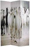 Equestrian Art Photo Print Mares & Stallions - 6ft. Herds of Horses Printed Photographs Room Divider Floor Screen