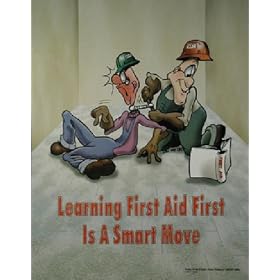 Learning First Aid First Poster (17x22 inch)