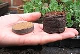 from jiffy Starter coir pellets x100