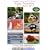 Enjoy Nutrition, Parts 1 & 2 (Two DVD Videos) 'Paint Your Meals' Series...