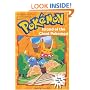 Island of the Giant Pokemon (Pokemon Chapter Book #2)