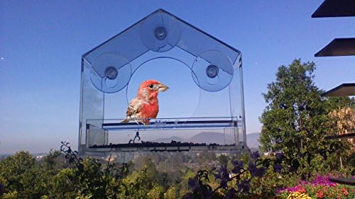 Happy Birds Window Bird Feeder - Clear See-Thru Thick Acrylic Easy Install-Refilling-Cleaning. Strong Suction Cups. Great for Kids, Pets and Bird Lovers. Enjoy Watching Garden Birds Up Close.