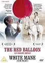 The Red Balloon/White Mane [DVD]