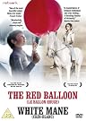 The Red Balloon...