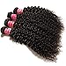 Nadula 8A Unprocessed Brazilian Curly Virgin Human Hair with Free Part Lace Closure Pack of 4 Remy Human Hair Natural Color (12 14 16+10closure)