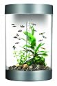 biUbe with Halogen Light, Silver, 9 Gallons