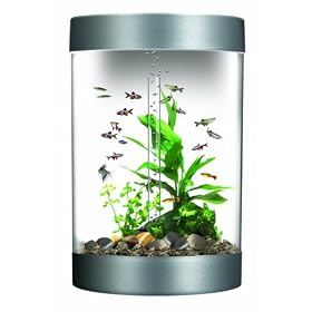 Buy biUbe with Halogen Light, Silver, 9 Gallons by biOrb