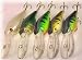 5 Custom CAT Deep Divers - Fishing Lures - Crankbaits CAT 5 Pro Pack