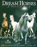 Dream Horses: A Poster Book