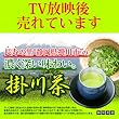 【ためしてガッテンで話題!】業務用 掛川ブレンド茶 500g【TVで実証されたお茶パワー!】