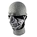 Zanheadgear® Half Mask Neoprene Chrome Skull