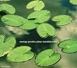 Perahia Plays Mendelssohn