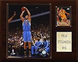 NBA Peja Stojakovic New Orleans Hornets Player Plaque