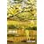 Stroke: Poems (Karen and Michael Braziller Books)